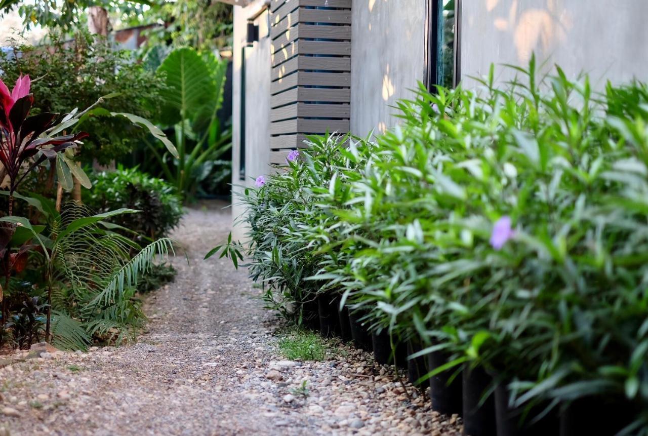 Kittawan Home&Gallery Chiang Mai Exterior photo